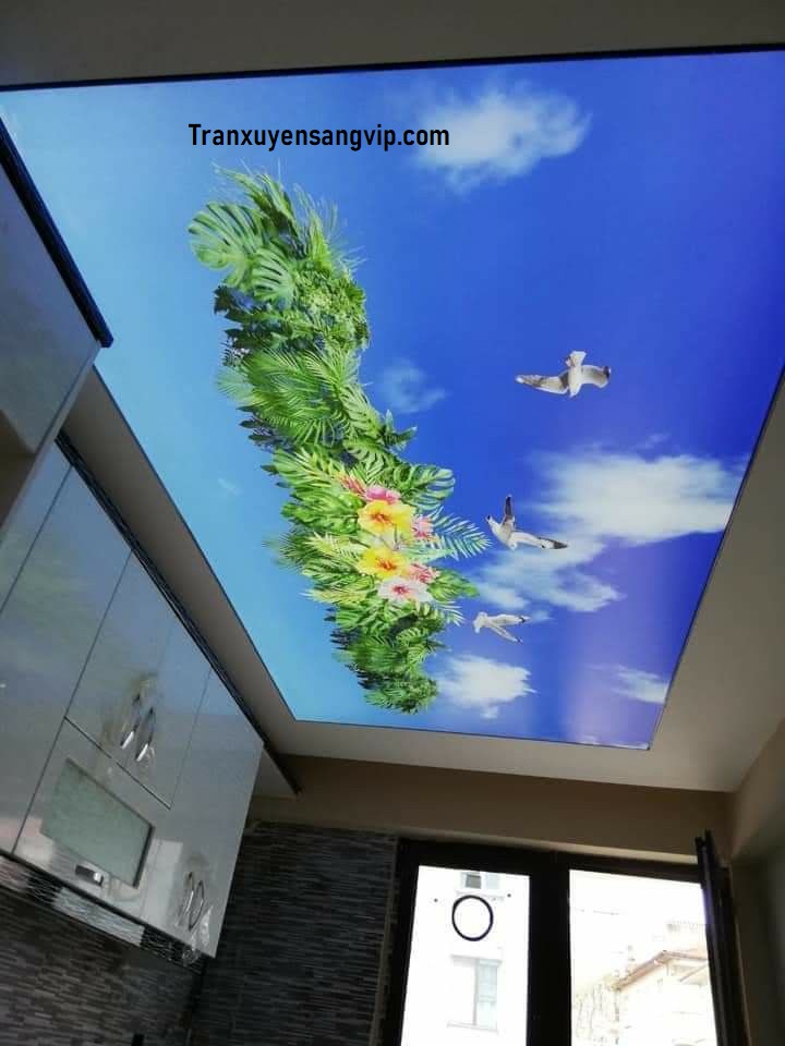 thi-cong-tran-xuyen-sang