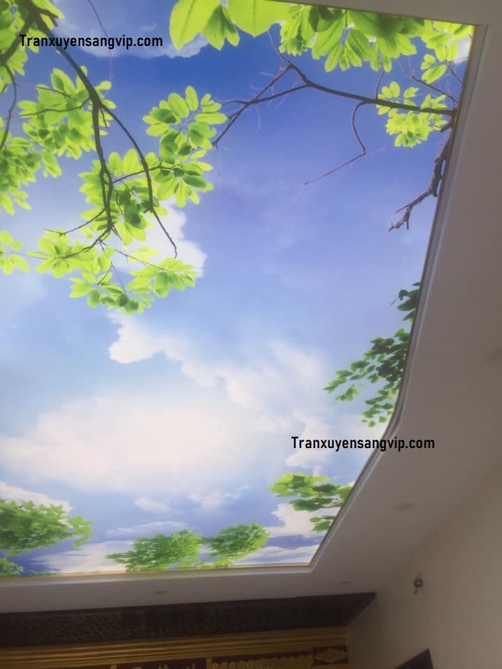 tran-may-xuyen-sang-tai-thu-duc-10