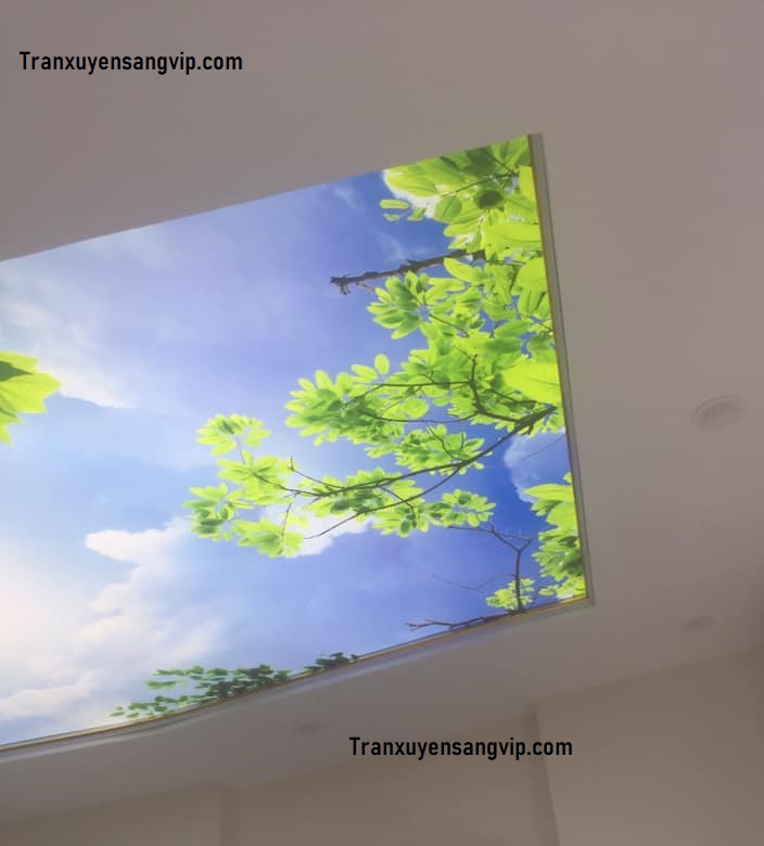 tran-may-xuyen-sang-tai-thu-duc-6