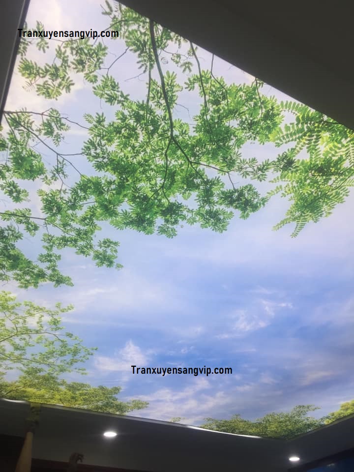 tran-may-xuyen-sang-tai-thu-duc