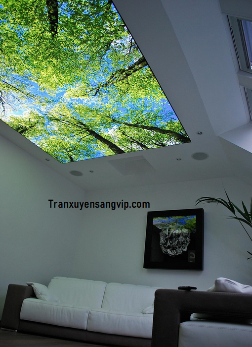 tran-may-xuyen-sang-tai-thu-duc