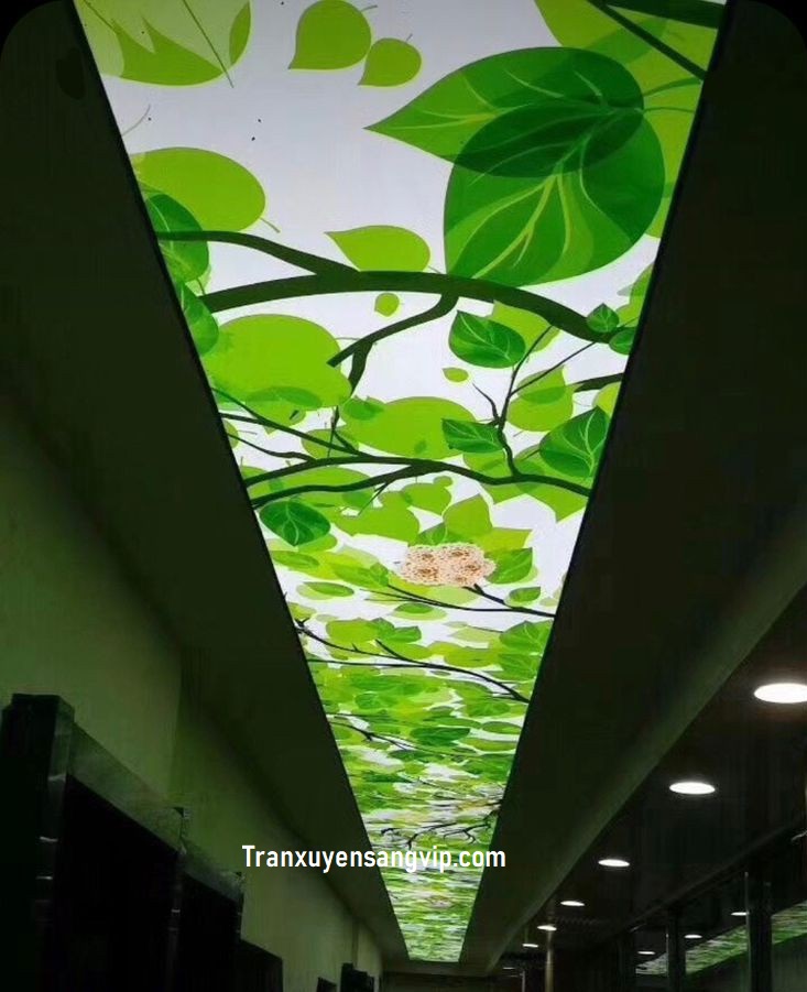 tran-xuyen-sang-3d-gia-re