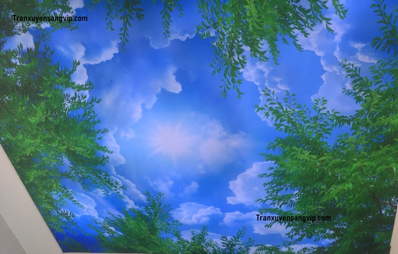 tran-xuyen-sang-phong-ngu-quan-8-hcm-2