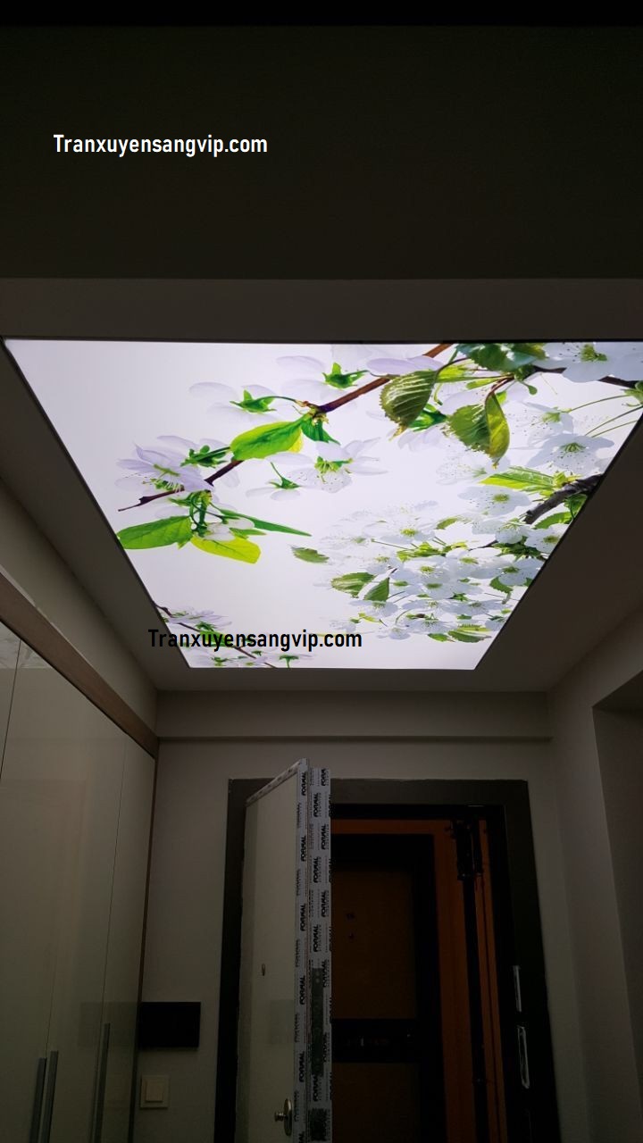 tran-xuyen-sang-quan-11-hcm