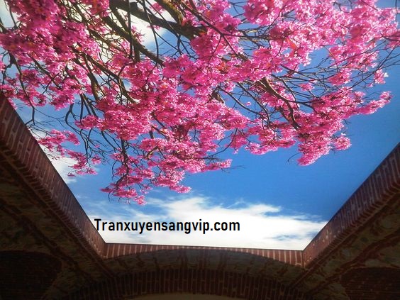 tran-xuyen-sang-quan-thu-duc