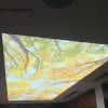 Trần Xuyên Sáng 3D Hình Cây Cối, Lá Hoa
