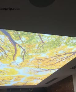 Trần Xuyên Sáng 3D Hình Cây Cối, Lá Hoa