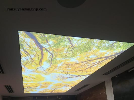 Trần Xuyên Sáng 3D Hình Cây Cối, Lá Hoa