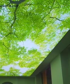Trần Xuyên Sáng 3D Hình Cây Cối, Lá Hoa