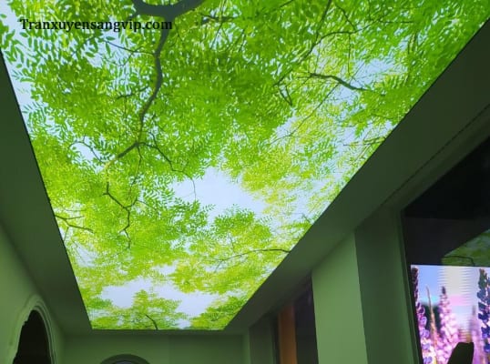 Trần Xuyên Sáng 3D Hình Cây Cối, Lá Hoa