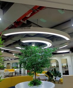 Hộp Đèn Xuyên Sáng