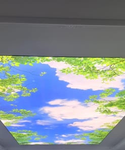 Trần 3D Phòng Khách