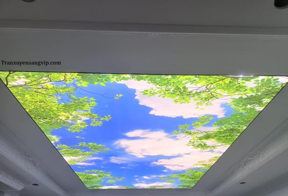 Trần 3D Phòng Khách
