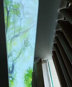 Trần 3D Phòng Ngủ