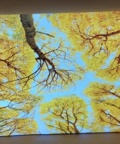 Trần 3D Phòng Ngủ