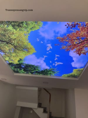 Trần Led Phong Cảnh