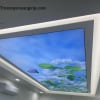 Trần Xuyên Sáng 3D Cửa Hàng