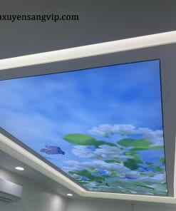 Trần Xuyên Sáng 3D Cửa Hàng