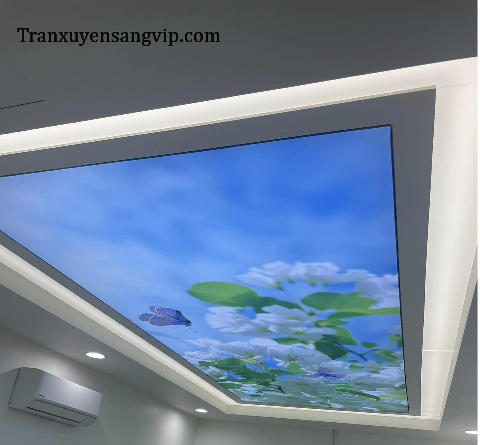 tran-xuyen-sang-3d-cua-hang Trần Xuyên Sáng 3D Cửa Hàng