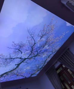 Trần Xuyên Sáng Thẩm Mỹ Viện