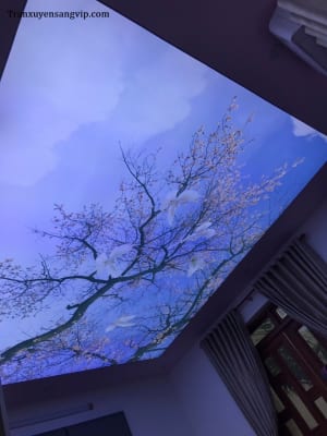 Trần Xuyên Sáng Thẩm Mỹ Viện