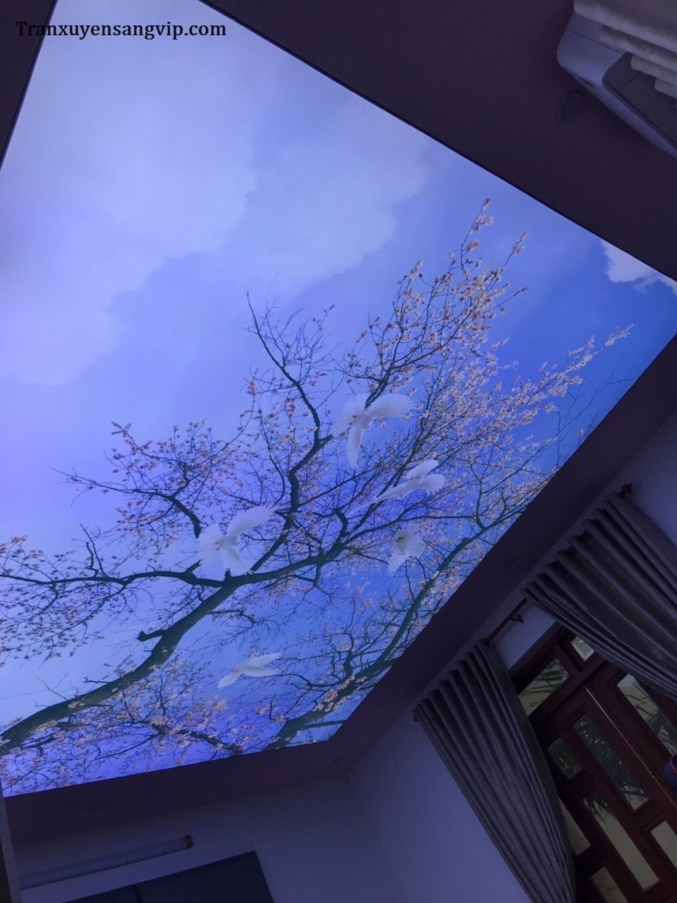 tran-xuyen-sang-tham-my-vien-2 Trần Xuyên Sáng Thẩm Mỹ Viện