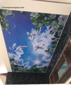 Trần Xuyên Sáng Thẩm Mỹ Viện