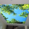 Đèn Led Trần Họa Tiết