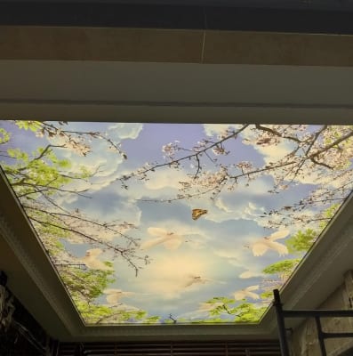 Đèn Led Xuyên Sáng Cho Phòng Khách