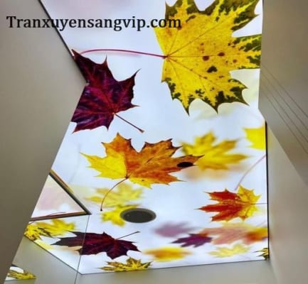 Làm Trần Xuyên Sáng Tại Hà Nội