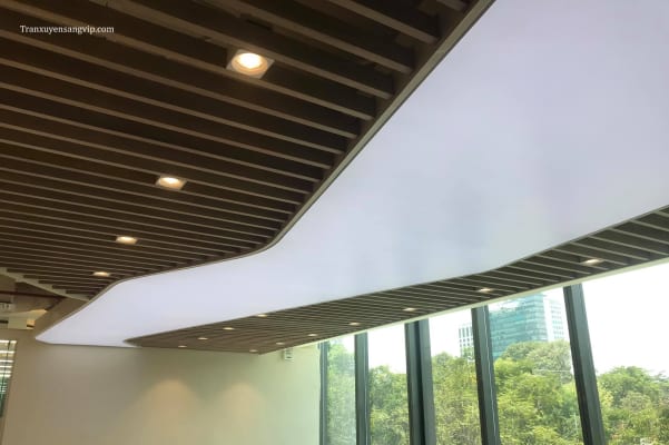 Mẫu Trần Led Trắng Cửa Hàng