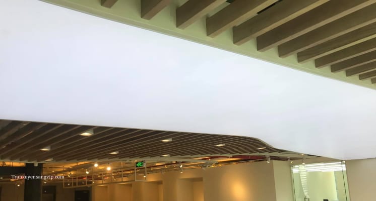 Mẫu Trần Led Trắng Cửa Hàng