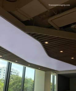 Mẫu Trần Led Trắng Cửa Hàng