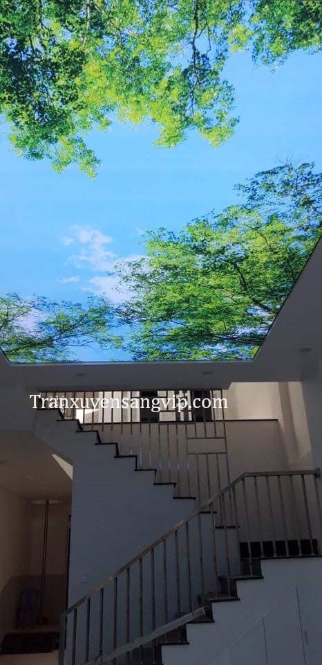 mau-tran-xuyen-sang-phong-khach-dep-2 Mẫu Trần Xuyên Sáng Phòng Khách Đẹp