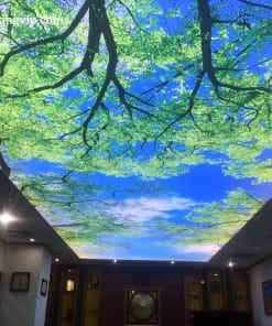 Mẫu Trần Xuyên Sáng Phòng Khách Đẹp