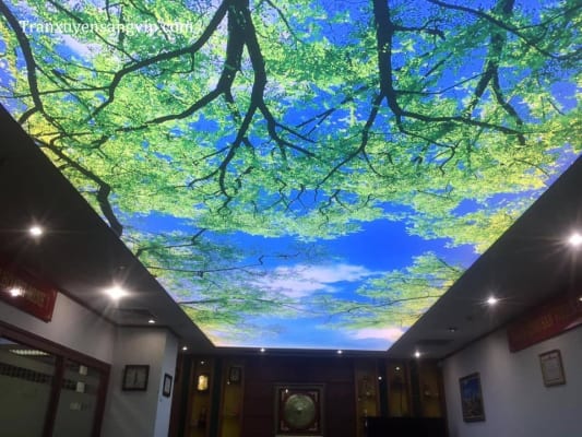 Mẫu Trần Xuyên Sáng Phòng Khách Đẹp