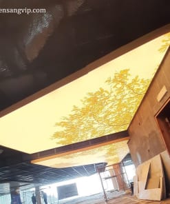 Tấm trần xuyên sáng