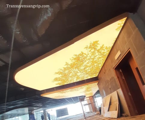 Tấm trần xuyên sáng