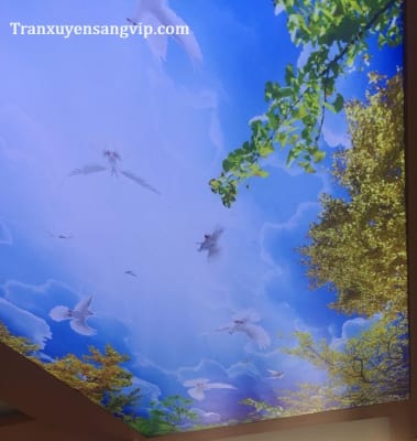 Thi Công Đèn Trần Đẹp