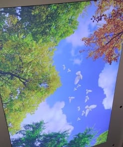 Thi Công Trần Led Cho Quán