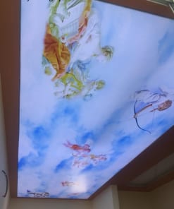 Thi Công Trần Led Cho Shop