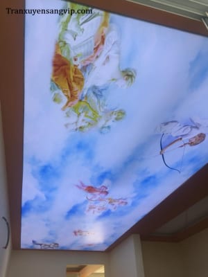 Thi Công Trần Led Cho Shop