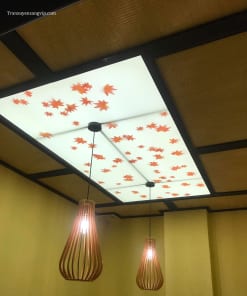 Thi Công Trần Led Cho Shop