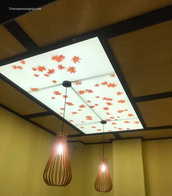 Thi Công Trần Led Cho Shop