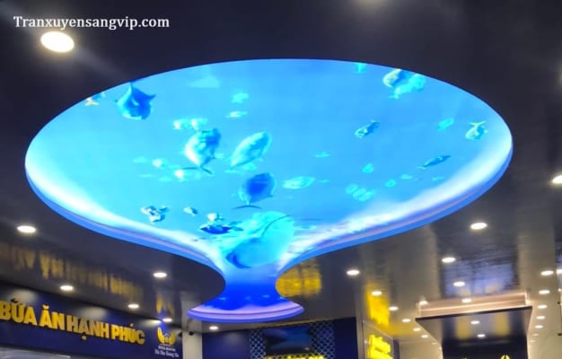Thi Công Trần Xuyên Sáng Cửa Hàng Hải Sản