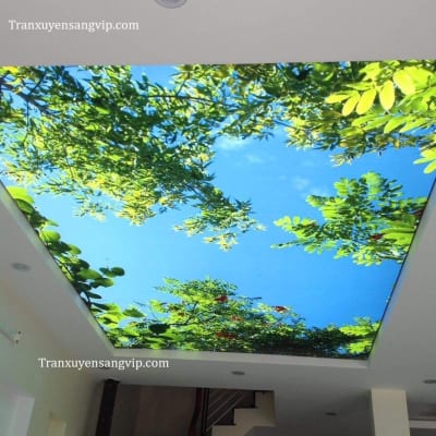 Trần Xuyên Sáng Cho Biệt Thự