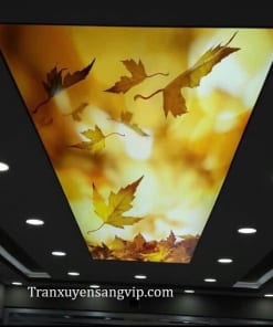 Trần Xuyên Sáng Cho Quán Bar