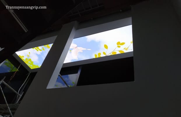 Trần Xuyên Sáng Họa Tiết