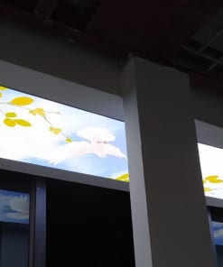 Trần Xuyên Sáng Họa Tiết