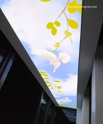 Trần Xuyên Sáng Họa Tiết